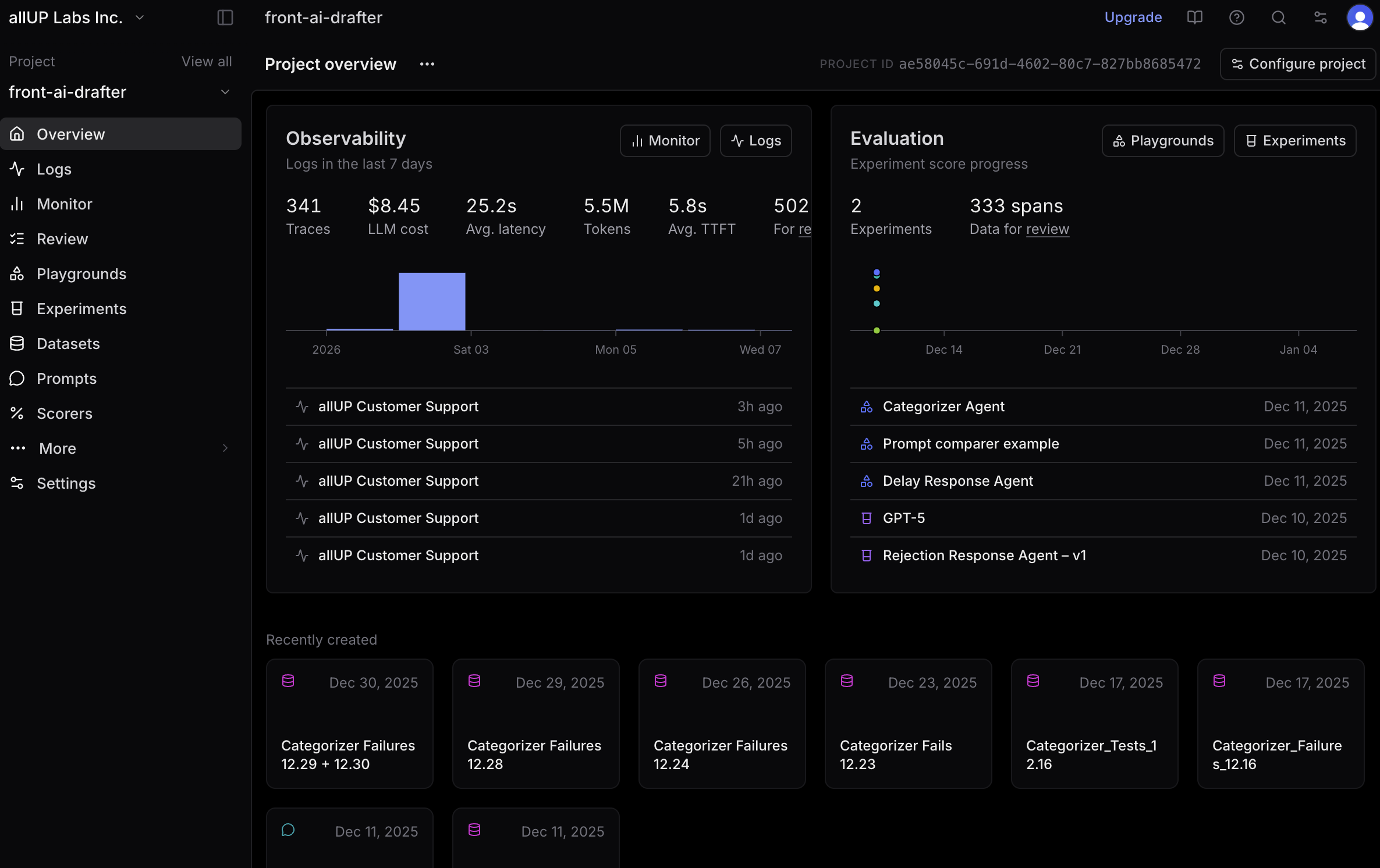 Project overview in Braintrust